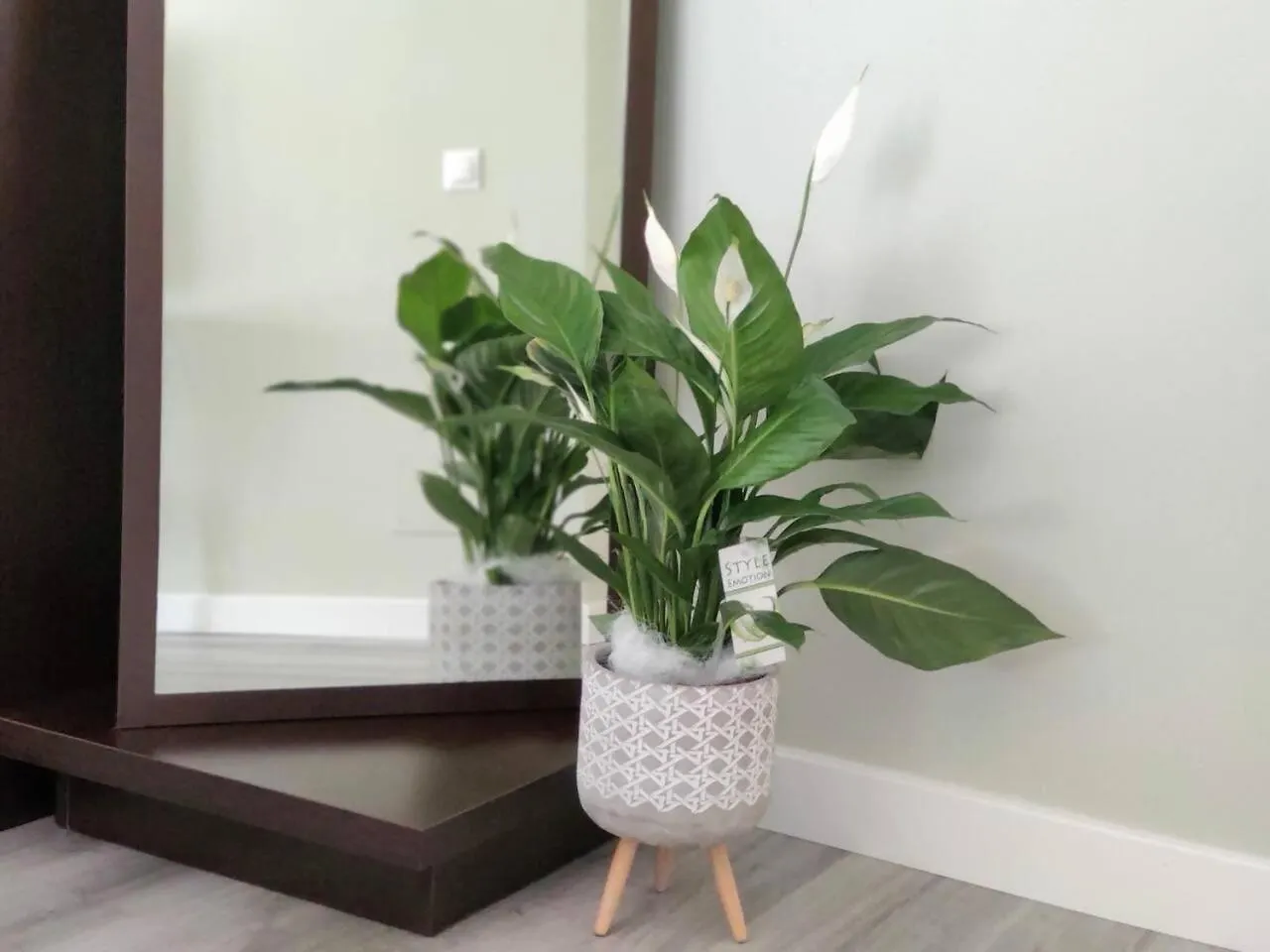 Acogedor apartamento en El Centro de Málaga España